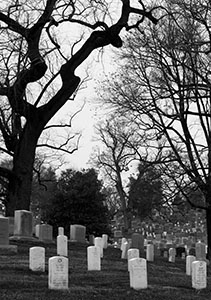 Click to Enter 'Arlington National Cemetery' Section